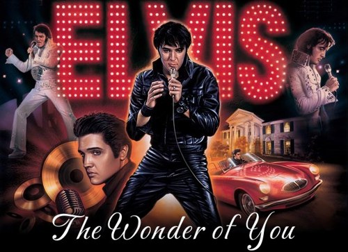 elvis the wonder of you